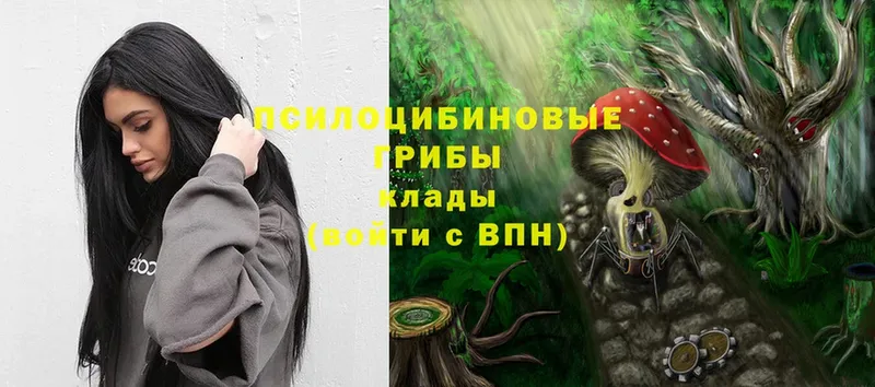 ОМГ ОМГ ТОР  Курск  Псилоцибиновые грибы Magic Shrooms 